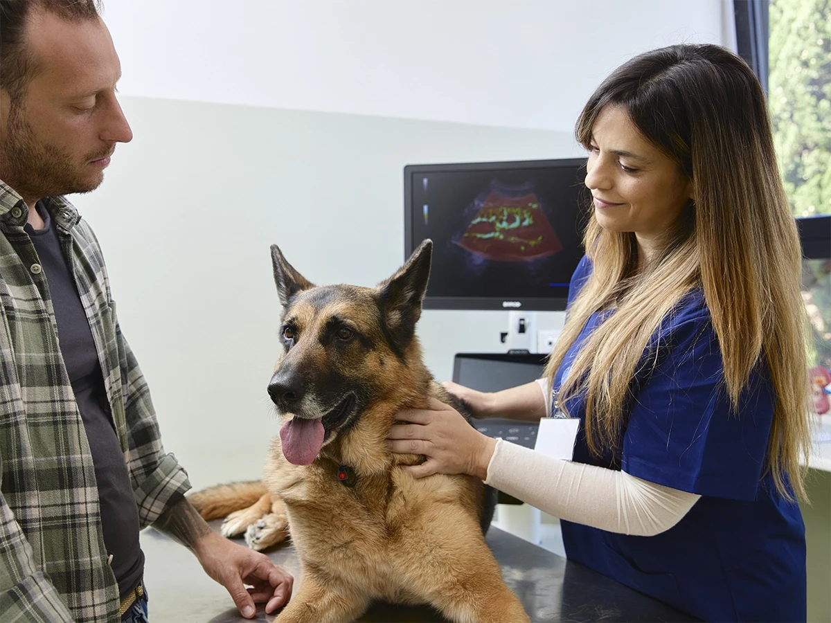 Tecnología Veterinaria